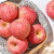 京先锋 烟台红富士苹果礼盒装 4.5kg 单果160-190g 新鲜水果 源头直发