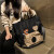 袋鼠（KANGAROO）香港品牌2024新款收纳袋大容量时尚简约手提行李包百搭便携旅行包 黑色小号防伪码 购物小票 大