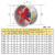 穆运 CBF防爆换气排风扇工业防爆轴流风机圆形管道抽风机 CBF-300/380V