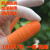 防滑手指套劳保工业乳胶手套耐磨橙色白色麻点一次性乳胶橡胶防护 白色麻点指套M码(100个/包)