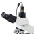 显微镜电子目镜300万500万像素摄像头含软件SCMOS相机目镜配件 浅灰色 300万像素