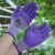 工用女士款小码手套 种花园艺搬货耐磨防割防滑透气乳胶薄款手套 1双 女士款HPPE防割PU涂层手套8 均码