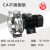 CA65-50-160/5.5T广东不锈钢水泵超大流量高扬程机械密封循环 CA65-50-160/5.5T