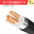 鑫永信 国标铜芯铠装ZC-YJV22电力电缆 足方足米 5*1.5平方（1米）
