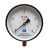 Y150杭州富阳玉春弹簧管压力表水压空气锅炉蒸汽表0-1.6/2.5/4mpa Y150表面 0-10Mpa