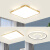 欧普源兴客厅吊扇灯一体极薄主卧室吸顶的灯房间客厅吊灯具现代简约大气设 风扇/时尚款50厘米无极遥控-98