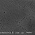 单分散二氧化硅纳米微球（0.05-200微米） 50毫升10%固含量100mg/ml