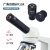 江西XSP-35TV-1600X科学生物实验养殖宠物医院显微镜消色差 标准1600X+1400万摄像头