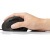 多彩（Delux） 日本SANWA小手垂直竖握立式人体工学有线无线蓝牙左右手护腕鼠标 无线款白色右手款 官方标配