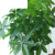 仿真发财树盆栽室内客厅落地装饰绿植假树树塑料树 1.5m辫子发财 两杆组合发财树1.5M