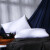 北极绒（Beijirong）枕芯素雅白立体磨毛羽丝绒枕芯护颈保健安眠枕头酒店专用枕 素雅白安睡枕一个装