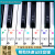 JOYFUL钢琴键盘贴纸88/61/54/49键电子琴透明键盘贴简谱音标音符音阶贴 彩色英文键盘贴纸