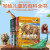 写给儿童的百科全书套装6册彩图注音版恐龙书籍 海洋生物 动物世界7-10岁少年儿童科普读物