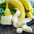 芬果时光 新鲜国产生香蕉 软糯香甜新鲜水果 4.5斤装