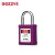 BOZZYS工程安全挂锁钢制锁梁25*6MM设备锁定LOTO安全锁具短梁上锁挂牌能量隔离锁BD-G58-KD