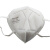 霍尼韦尔 Honeywell H1009101plus KN95 折叠式口罩 白色耳带式防尘口罩 50只/盒 白色 均码