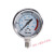 压力表不锈钢耐震径向压力表油压水压气压0-1.6/100MPa多量程 4MPa(40公斤)