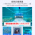 Dolphin-maytronics 海豚全自动泳池吸污机水下吸尘器M200泳池清洗机吸污机进口水龟 M600