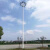 适用于led高杆灯广场灯8米12米15米20米25米30米球场灯户外升降式定制 8米2*200瓦D全套