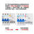 迈恻亦广东珠江电线电缆电器保护开关插座DZ47LE2P32 63A二极漏电断路器 63A 2P