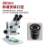 VEINLAN金相体视显微镜目镜配件广角10倍接口直径30mm 目镜 WF10X/22-2（单只）