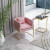 北欧简约ins单人沙发椅小户型客厅阳台铁艺沙发咖啡厅创意休闲椅 粉色单人+钛金