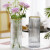 泰西丝欧式简约玻璃花瓶透明圆柱水培花卉富贵竹插花瓶摆件 XZ1025竖条纹-烟灰未切口描金
