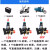 隆迈手提式打药机农用电动果树喷雾器12V48V60V220伏高压双缸柱塞药泵 220V（+枪）+50米水管