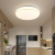LED吸顶灯阳台灯卧室灯圆形简约现代过道厨房卫生间走廊客厅灯具 金线50cm高亮白光48w
