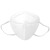 海龙博科N95口罩带钢印独立灭菌装 耳挂式口罩 透气 防飞沫口罩 成人白色N95口罩 独立1个装白色