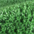 工者 仿真草坪 草皮地毯塑料假草坪 幼儿园楼顶阳台围墙地垫 草高3.0cm深三色网格背胶2*25米50平