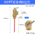 喜普黄铜太阳能热水器水箱测温度压力安全阀PT泄压阀 4分6kg