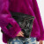 Stella McCartney     Falabella Fold OverS号单肩包奢侈品潮牌P00254425 黑色