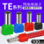 管型预绝缘端子TE双线欧式针型管状冷压接线端针形压线铜管100只 TE0510100只