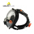 代尔塔(Deltaplus)防毒面具 硅胶便携一键调节防雾霾粉尘甲醛呼吸全面罩全面屏面具黑色105007防毒面具(1个)