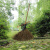 竹扫把 竹扫把农村老式竹丝扫帚笤帚户外庭院环卫通用大扫把扫院子JYH 皮扎竹丝1.5+芦花