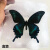 真蝴蝶标本真昆虫天堂已展翅盒装儿童礼物手工教学可取出 大绿带翠凤蝶 其他长方形尺寸 独立