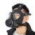 护力盾 FNJ05面具/MF11B自吸过滤头戴式全面防护罩 含防毒面具+滤毒盒+迷彩包+行军盒 黑色 1 