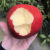 甜农人新西兰红玫瑰苹果 顺丰快递 进口当季新鲜水果 大果 单果160-190g 8个普通装