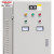 德力西电气 自耦减压起动箱 XJD1-55KW 380V /台 定制产品 下单前咨询