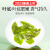 贡苑茶叶2023年新茶雨前绿茶特5A级六安瓜片安徽125g*2罐装高山兰花香