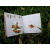 【包邮】树叶上的小蜗牛 中国民间布贴画艺术大师作品