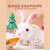 塔西袋熊儿童电动小兔子毛绒玩具玩偶公仔生日礼物送礼女孩宠物小兔子玩具 豪华全套版兔兔宠物笼套装