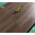ZSTO强化复合木地板10mm 封蜡家装锁扣酒店地暖木地板强化复合地板 WF601
