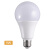 蓓尔蓝 DS199 LED节能灯泡 商用厂房物流照明灯 9瓦6500K白光 E27螺口球泡灯 5只/装