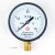 定制杭州富阳压力表Y100Z 1.6MPA储气罐轴向气压表 空压机耐震充 M20转三分