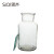 SiQi 集气瓶 60ml125ml500ml玻璃气体收集瓶带磨砂玻璃片多规格玻璃化学仪器教学仪器 玻璃集气瓶125ml