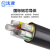 沈津 ZR-YJLV-0.6/1KV-3*16+2*10mm² 国标铝芯阻燃电力电缆 1米