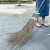 中典 FW-1108 竹扫把清洁大扫把扫马路庭院环卫物业园林葵扫把 葵骨长尾扫把 螺纹款