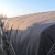 齐翼航土工布毛毡布大棚保温棉被养殖蔬菜公路养护包装毡棉毡加厚 200克2米宽 40米长